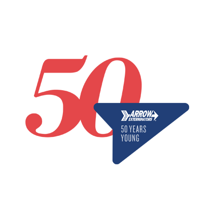 50 Year Anniversary logo option 2