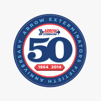 50 Year Anniversary logo option 3