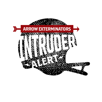 intruder alert logo option 2